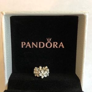 Darling Daisies Spacer